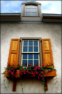 sash windows